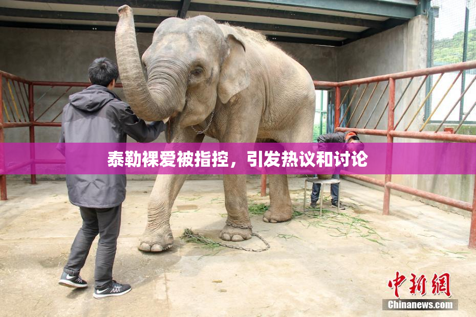 泰勒裸爱被指控，引发热议和讨论