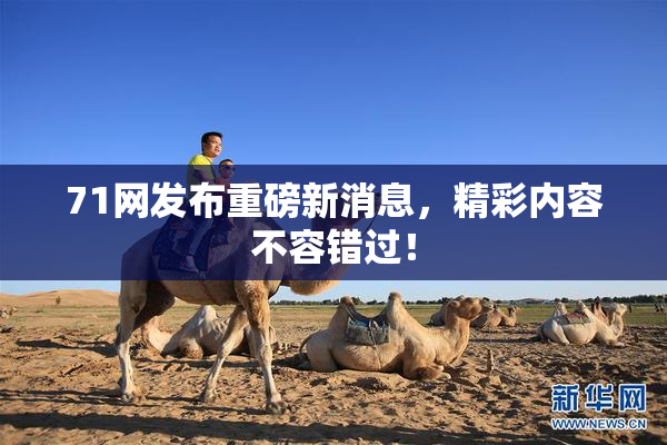 71网发布重磅新消息，精彩内容不容错过！