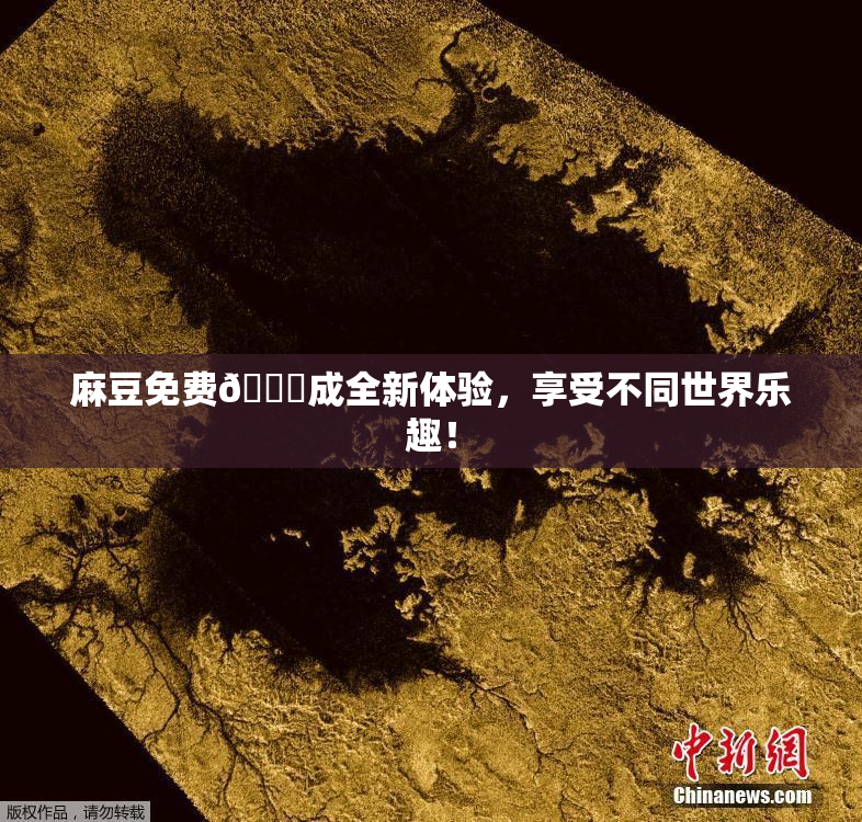 麻豆免费🔞成全新体验，享受不同世界乐趣！