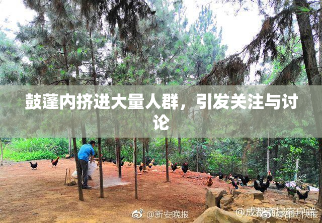 鼓蓬内挤进大量人群，引发关注与讨论