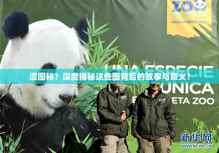 涩图秘？深度揭秘这些图背后的故事与意义！