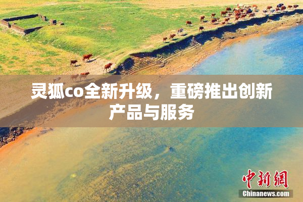 灵狐co全新升级，重磅推出创新产品与服务
