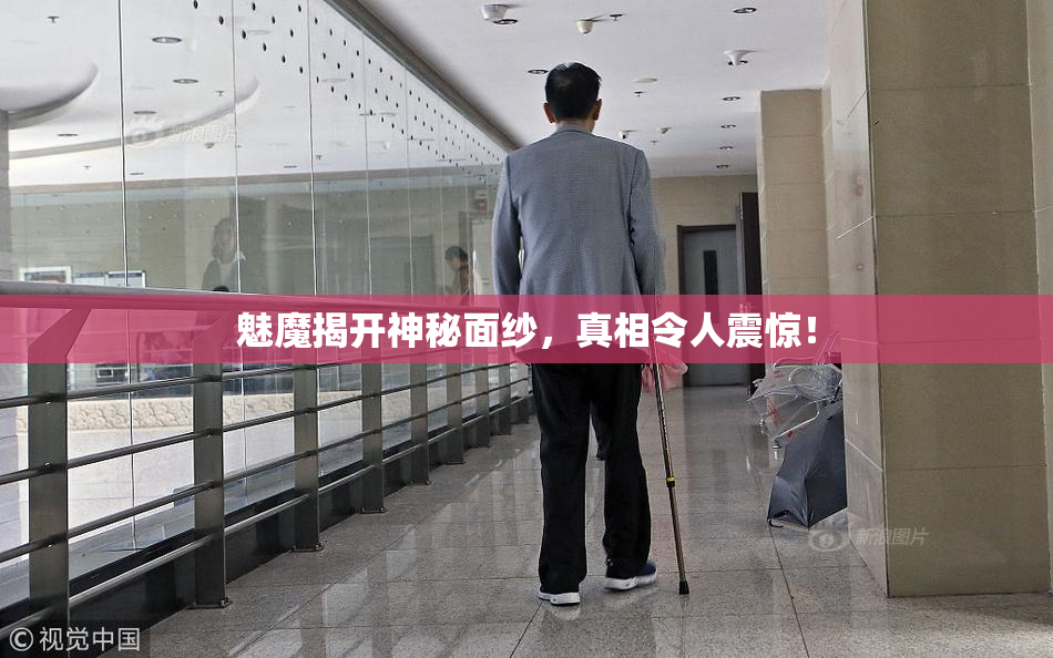 魅魔揭开神秘面纱，真相令人震惊！