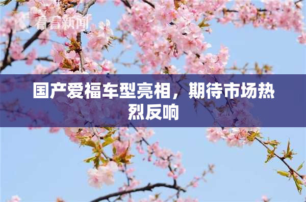 国产爱福车型亮相，期待市场热烈反响