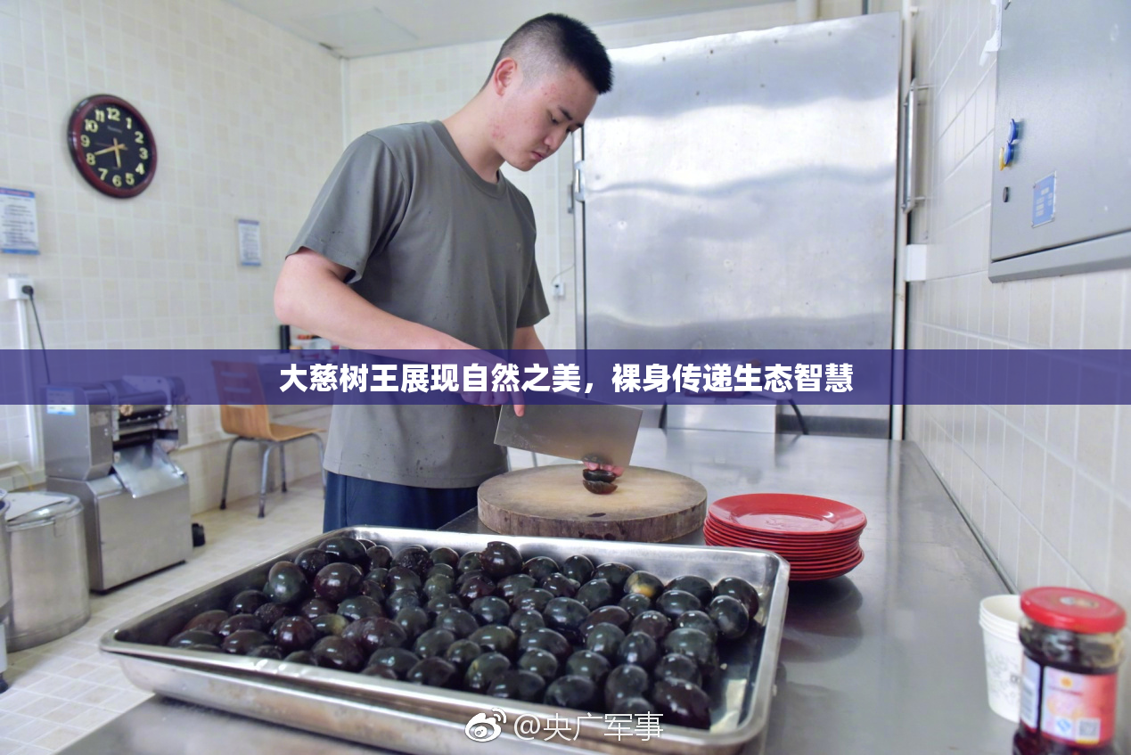大慈树王展现自然之美，裸身传递生态智慧