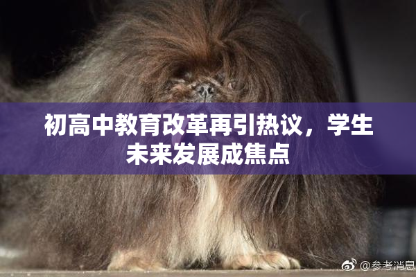 初高中教育改革再引热议，学生未来发展成焦点