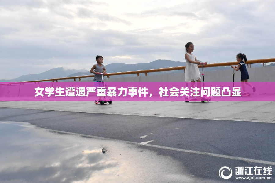 女学生遭遇严重暴力事件，社会关注问题凸显