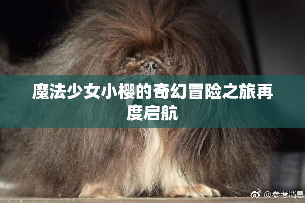 魔法少女小樱的奇幻冒险之旅再度启航