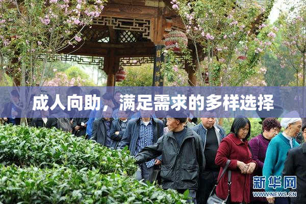 成人向助，满足需求的多样选择