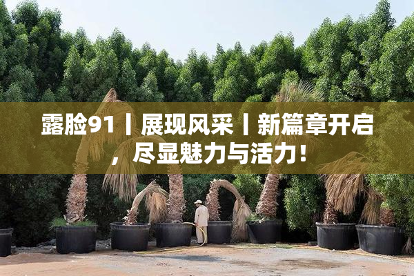 露脸91丨展现风采丨新篇章开启，尽显魅力与活力！