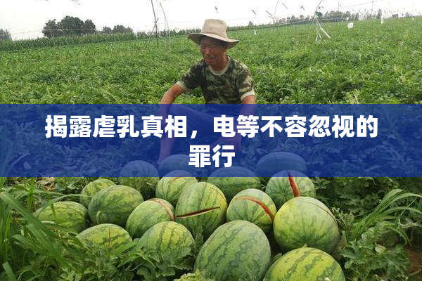 揭露虐乳真相，电等不容忽视的罪行