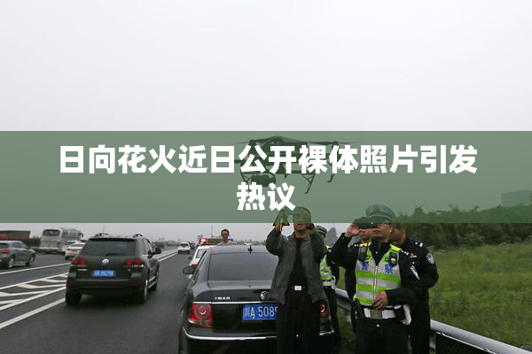 日向花火近日公开裸体照片引发热议