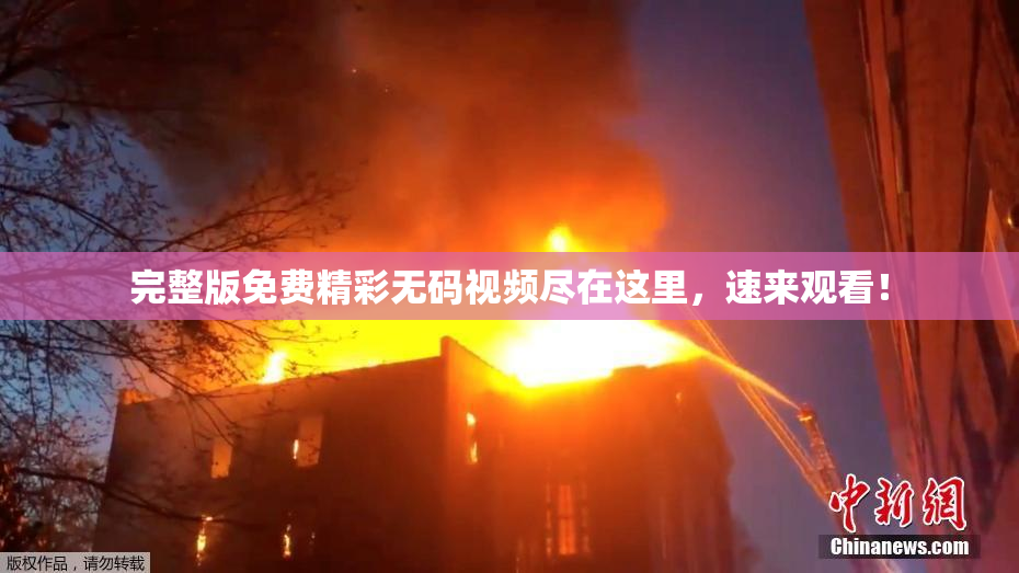 完整版免费精彩无码视频尽在这里，速来观看！