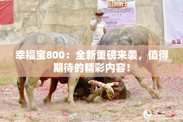 幸福宝800：全新重磅来袭，值得期待的精彩内容！