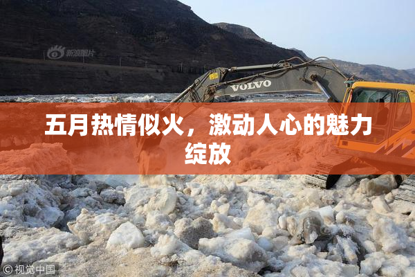 五月热情似火，激动人心的魅力绽放