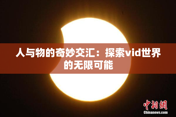 人与物的奇妙交汇：探索vid世界的无限可能