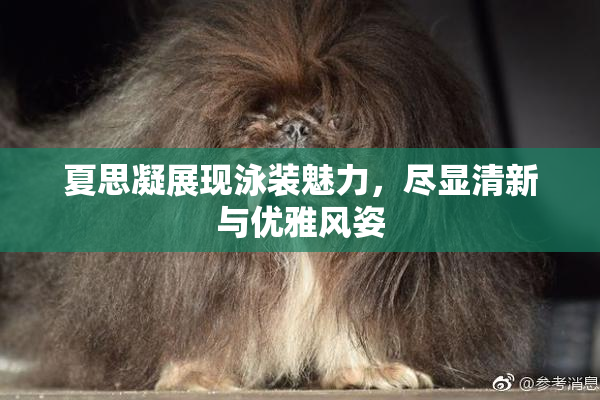 夏思凝展现泳装魅力，尽显清新与优雅风姿