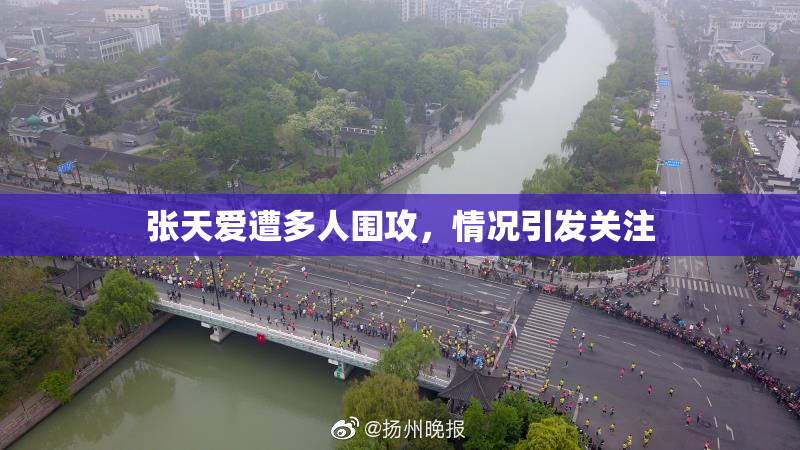 张天爱遭多人围攻，情况引发关注