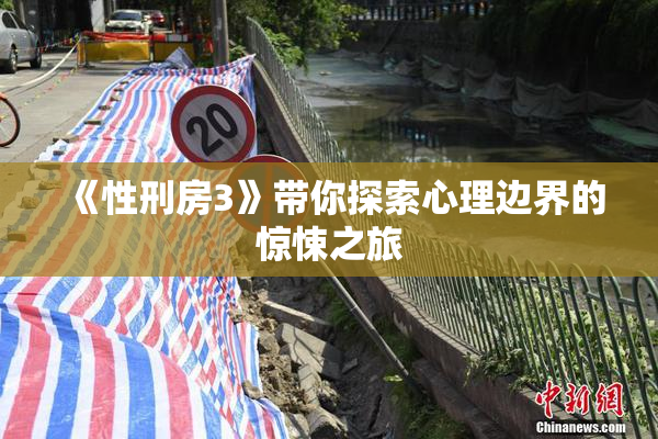 《性刑房3》带你探索心理边界的惊悚之旅