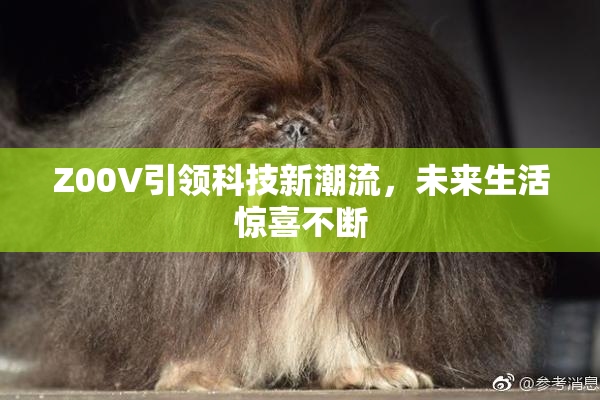 Z00V引领科技新潮流，未来生活惊喜不断