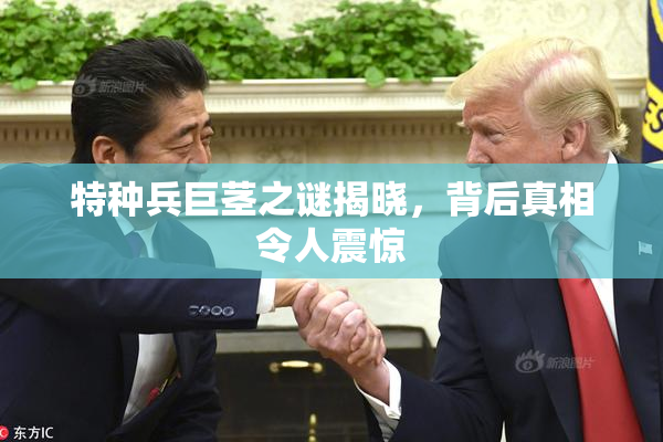 特种兵巨茎之谜揭晓，背后真相令人震惊