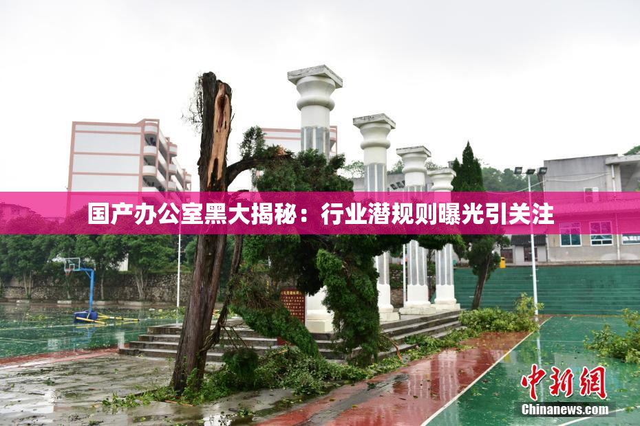 国产办公室黑大揭秘：行业潜规则曝光引关注