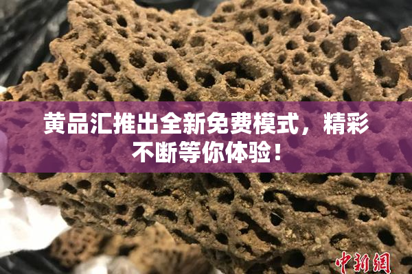 黄品汇推出全新免费模式，精彩不断等你体验！