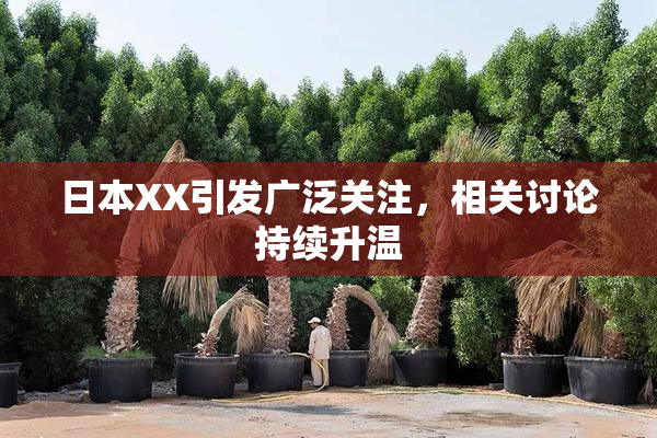 日本XX引发广泛关注，相关讨论持续升温
