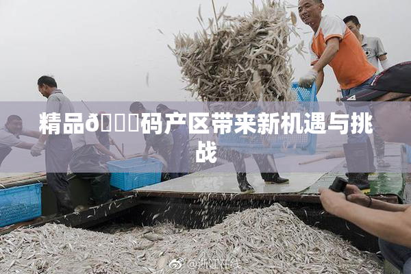 精品🈚码产区带来新机遇与挑战