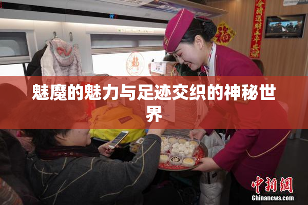 魅魔的魅力与足迹交织的神秘世界
