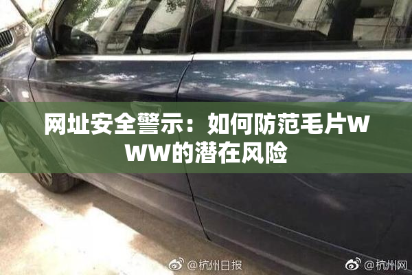 网址安全警示：如何防范毛片WWW的潜在风险