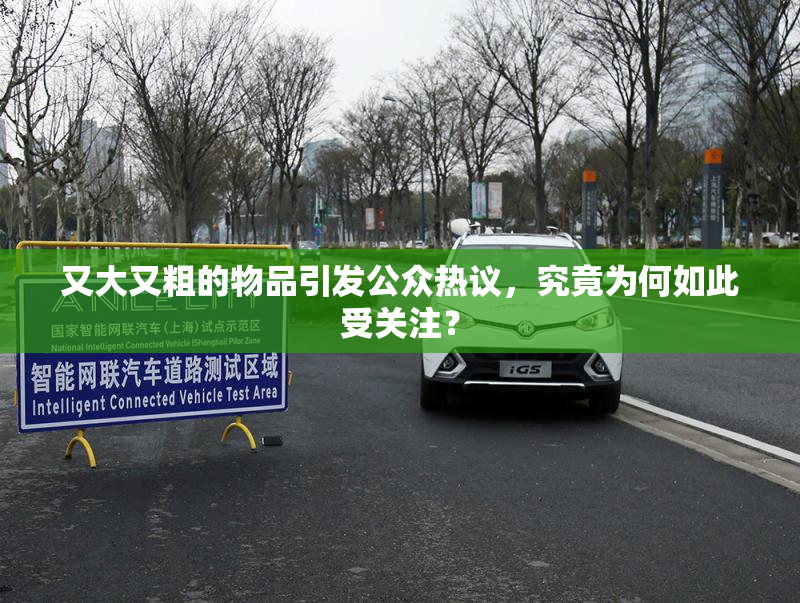 又大又粗的物品引发公众热议，究竟为何如此受关注？