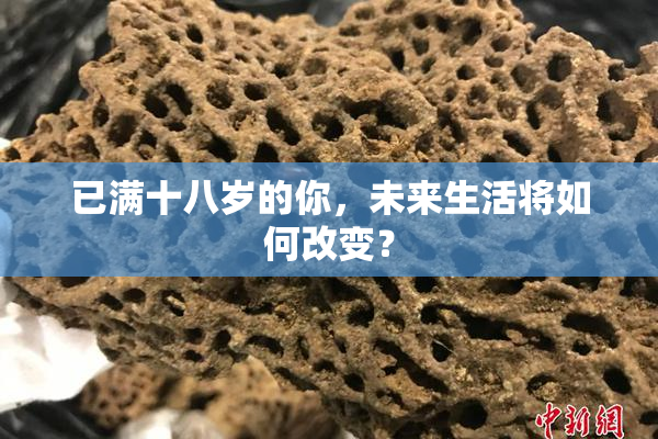 已满十八岁的你，未来生活将如何改变？