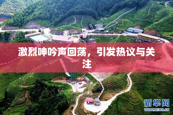 激烈呻吟声回荡，引发热议与关注