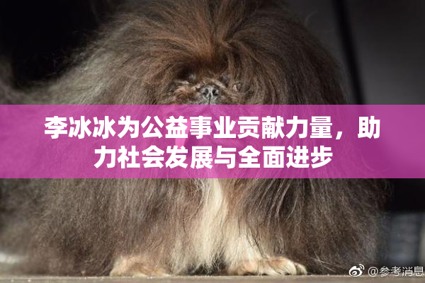 李冰冰为公益事业贡献力量，助力社会发展与全面进步