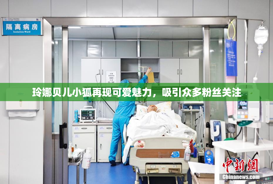 玲娜贝儿小狐再现可爱魅力，吸引众多粉丝关注