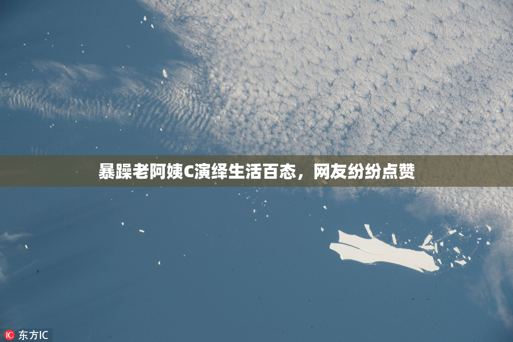暴躁老阿姨C演绎生活百态，网友纷纷点赞
