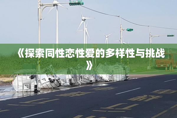 《探索同性恋性爱的多样性与挑战》