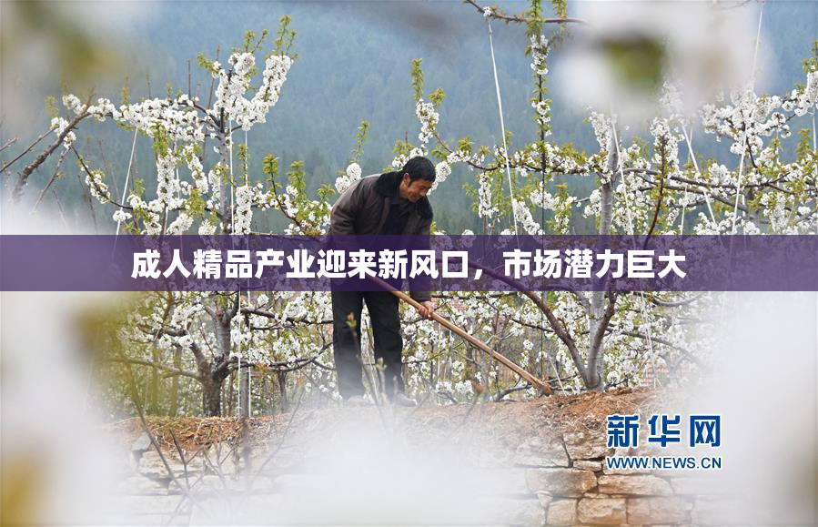 成人精品产业迎来新风口，市场潜力巨大