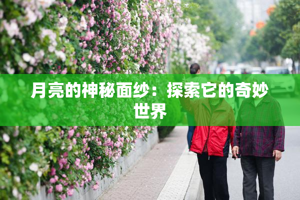 月亮的神秘面纱：探索它的奇妙世界