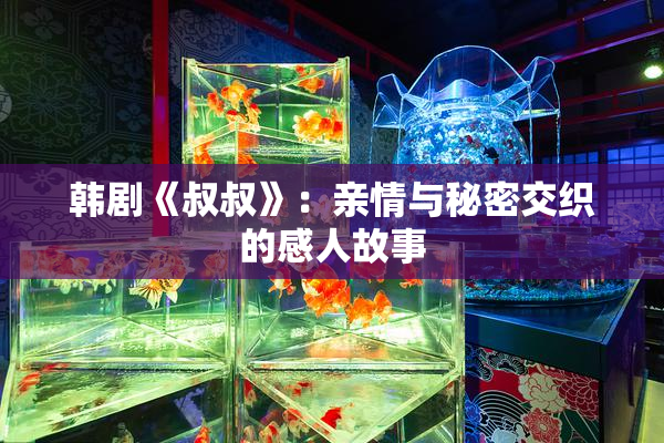 韩剧《叔叔》：亲情与秘密交织的感人故事