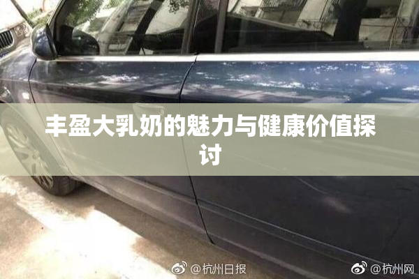 丰盈大乳奶的魅力与健康价值探讨