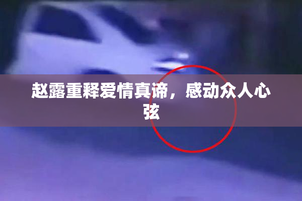 赵露重释爱情真谛，感动众人心弦