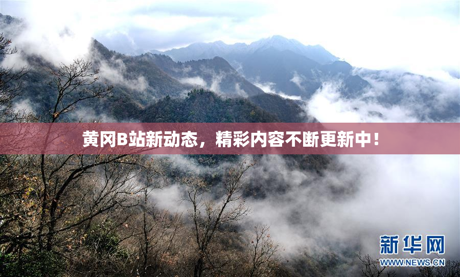 黄冈B站新动态，精彩内容不断更新中！