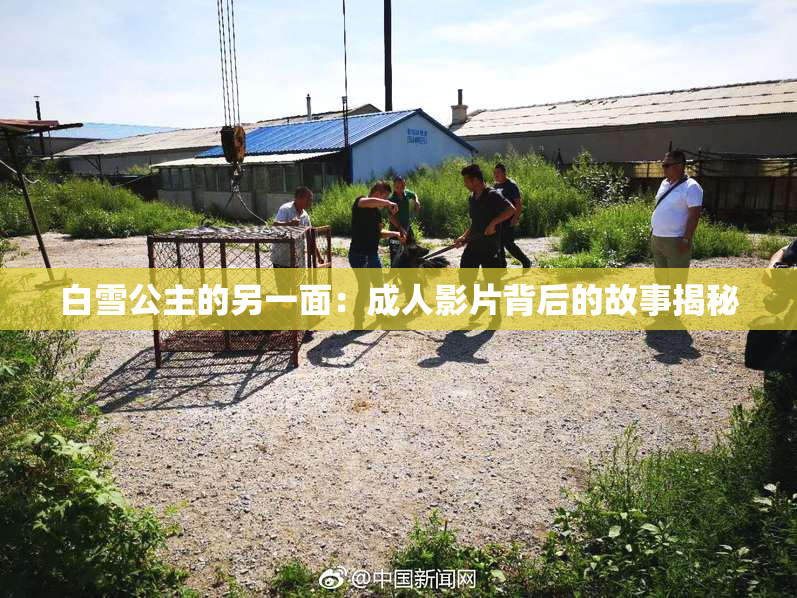 白雪公主的另一面：成人影片背后的故事揭秘