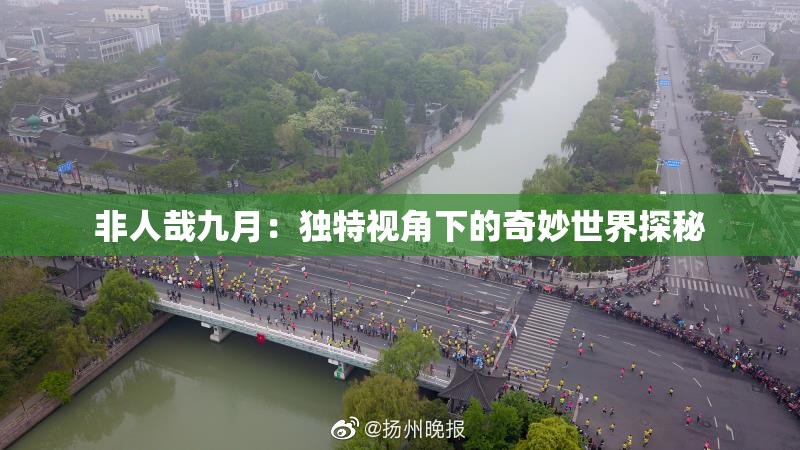 非人哉九月：独特视角下的奇妙世界探秘