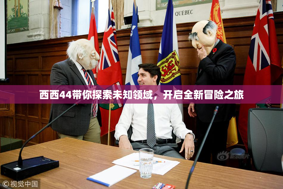 西西44带你探索未知领域，开启全新冒险之旅