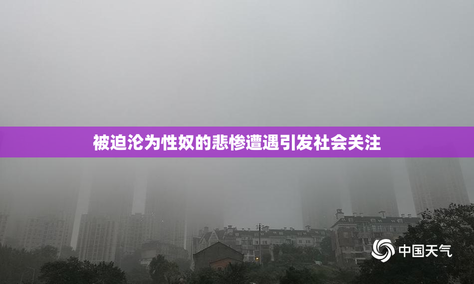 被迫沦为性奴的悲惨遭遇引发社会关注