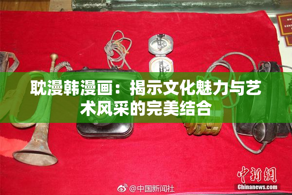 耽漫韩漫画：揭示文化魅力与艺术风采的完美结合