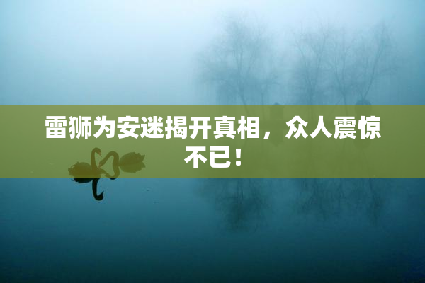 雷狮为安迷揭开真相，众人震惊不已！